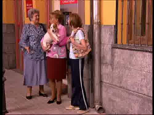 -Si Paco era virgen.
Si no tiene cara de vicioso.