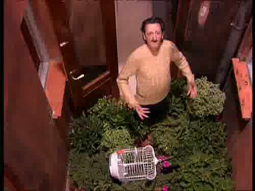 Y tú no te comas las plantas, coño.