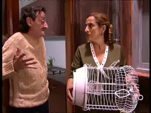-No, ésta es una especie doméstica.
Si lo sueltas, no dura ni dos días.