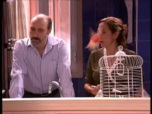 Anda, coge al pájaro y lo metes
en la jaula.