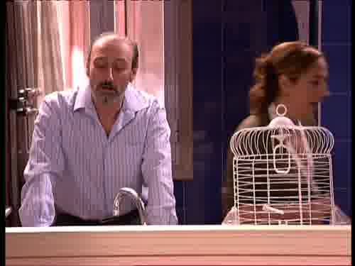 -¡Coge al pájaro! Búscalo.