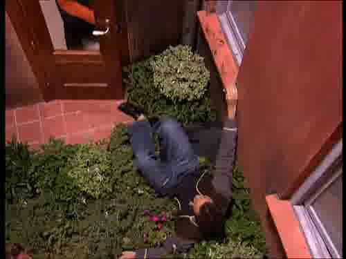 :-* -¡No! ¡Oiga!