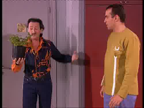 -No tengas morro,
que es un geranio.