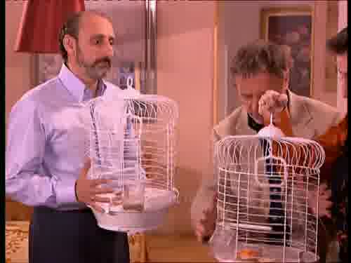 -Este pájaro... está muerto.
-No, está en fase REM: