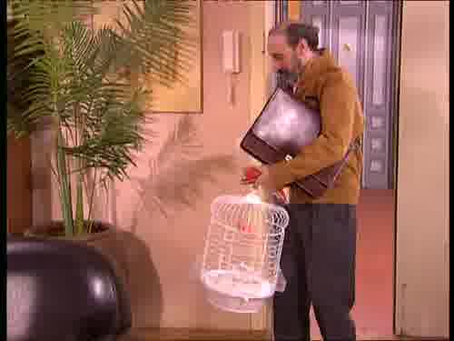 -Esto no es una familia ni es nada.
-¿No nos meterás un pájaro aquí?